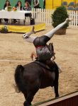 DSC04738-Kopie