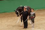 DSC04694-Kopie