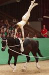 DSC04548-Kopie