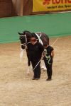 DSC04800-Kopie