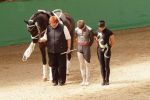 DSC03607-Kopie