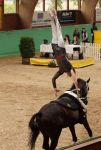 DSC04768-Kopie