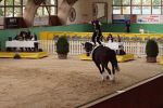 DSC03597-Kopie