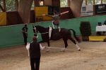 DSC03589-Kopie