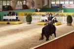 DSC03586-Kopie