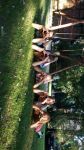 IMG-20150718-WA0003