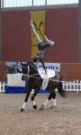IMG0756-Kopie