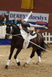 DSC05984-Kopie