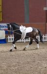 IMG0750-Kopie