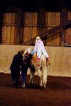 DSC01126-Kopie