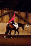 DSC01113-Kopie