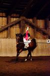 DSC01031-Kopie