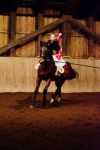 DSC01019-Kopie