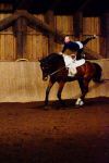 DSC01074-Kopie