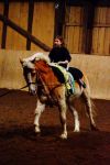 DSC00974-Kopie