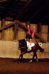 DSC01034-Kopie