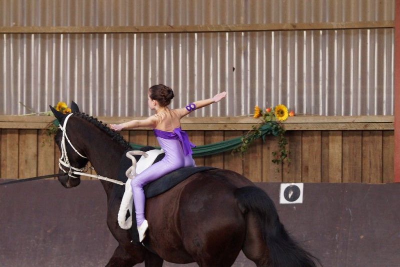 DSC08992-Kopie