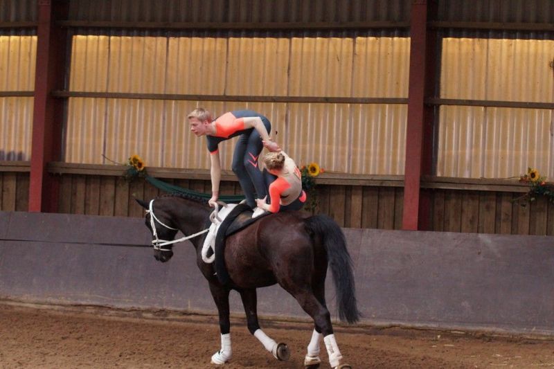 DSC09344-Kopie