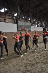 DSC0282-Kopie