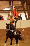 DSC00019-Kopie