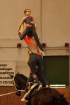 DSC00037-Kopie