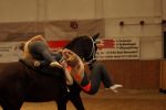 DSC00086-Kopie