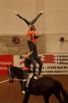 DSC00097-Kopie