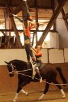 DSC00133-Kopie