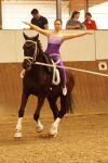 DSC09495-Kopie