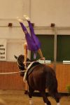 DSC09517-Kopie