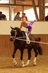 DSC09535-Kopie
