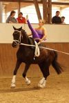 DSC09548-Kopie