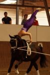 DSC09564-Kopie