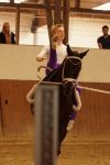 DSC09579-Kopie