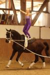 DSC09630-Kopie