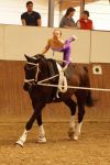 DSC09645-Kopie