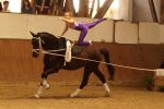 DSC09698-Kopie