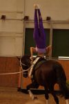 DSC09707-Kopie