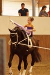 DSC09785-Kopie