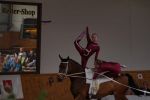 DSC08947-Kopie