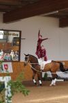 DSC08991-Kopie