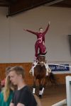 DSC08997-Kopie