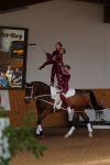 DSC09025-Kopie