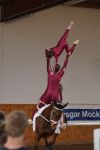 DSC09076-Kopie