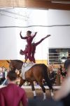 DSC09087-Kopie