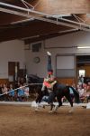 DSC09425-Kopie