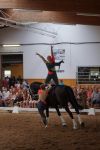 DSC09437-Kopie