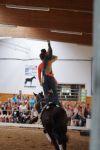 DSC09447-Kopie