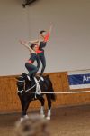 DSC09476-Kopie