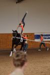 DSC09493-Kopie